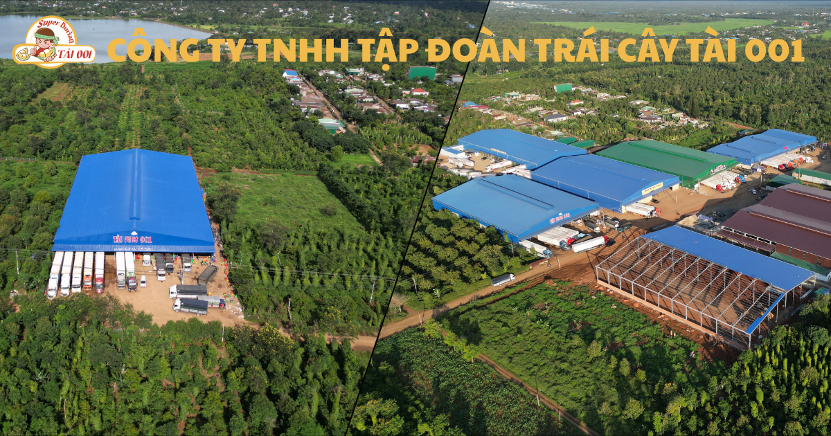 ĐẮK LẮK 2026: SỰ BỨT PHÁ HẠ TẦNG LOGISTICS VÀ BƯỚC CHUYỂN MÌNH CỦA THỦ PHỦ SẦU RIÊNG